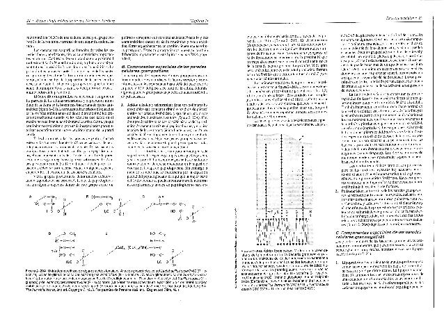 Microbiologia Medica Jawetz