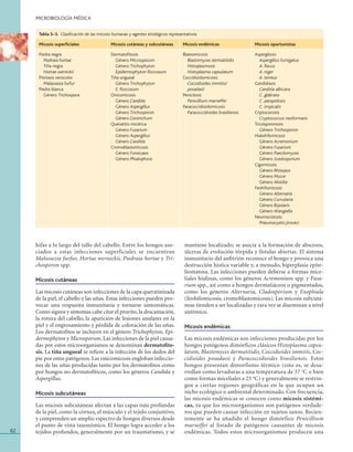 microbiologia_medica_murray_6a_rinconmedico.net.pdf