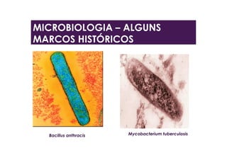 Bacillus anthracis Mycobacterium tuberculosis
MICROBIOLOGIA – ALGUNS
MARCOS HISTÓRICOS
 