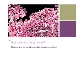 +
O que são microorganismos?
São seres vivos que só podem ser observados ao microscópio.
 