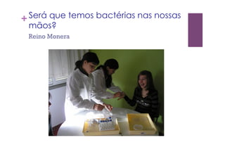 +Será que temos bactérias nas nossas
mãos?
Reino Monera
 