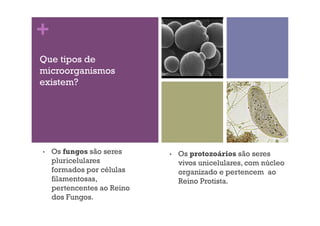 +
Que tipos de
microorganismos
existem?
•  Os protozoários são seres
vivos unicelulares, com núcleo
organizado e pertencem ao
Reino Protista.
•  Os fungos são seres
pluricelulares
formados por células
filamentosas,
pertencentes ao Reino
dos Fungos.
 