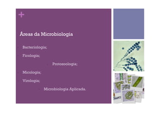 +
Áreas da Microbiologia
•  Bacteriologia;
•  Ficologia;
•  Protozoologia;
•  Micologia;
•  Virologia;
•  Microbiologia Aplicada.
 
