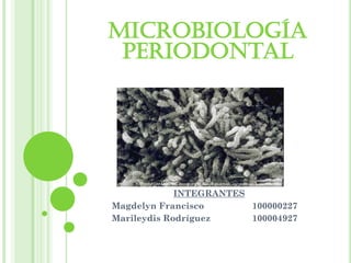 Microbiología
 Periodontal




             INTEGRANTES
Magdelyn Francisco       100000227
Marileydis Rodríguez     100004927
 