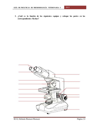 GUÍA DE PRÁCTICAS DE MICROBIOLOGÍA VETERINARIA I 2015
M.V.Z. Belinda Mamani Mamani Página 13
3. ¿Cuál es la función de los siguientes equipos y coloque las partes en las
correspondientes flechas?
 