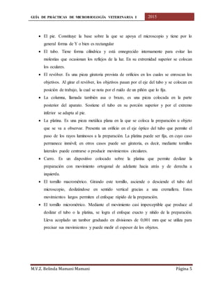 GUÍA DE PRÁCTICAS DE MICROBIOLOGÍA VETERINARIA I 2015
M.V.Z. Belinda Mamani Mamani Página 5
 El pie. Constituye la base sobre la que se apoya el microscopio y tiene por lo
general forma de Y o bien es rectangular
 El tubo. Tiene forma cilíndrica y está ennegrecido internamente para evitar las
molestias que ocasionan los reflejos de la luz. En su extremidad superior se colocan
los oculares.
 El revólver. Es una pieza giratoria provista de orificios en los cuales se enroscan los
objetivos. Al girar el revólver, los objetivos pasan por el eje del tubo y se colocan en
posición de trabajo, la cual se nota por el ruido de un piñón que lo fija.
 La columna, llamada también asa o brazo, es una pieza colocada en la parte
posterior del aparato. Sostiene el tubo en su porción superior y por el extremo
inferior se adapta al pie.
 La platina. Es una pieza metálica plana en la que se coloca la preparación u objeto
que se va a observar. Presenta un orificio en el eje óptico del tubo que permite el
paso de los rayos luminosos a la preparación. La platina puede ser fija, en cuyo caso
permanece inmóvil; en otros casos puede ser giratoria, es decir, mediante tornillos
laterales puede centrarse o producir movimientos circulares.
 Carro. Es un dispositivo colocado sobre la platina que permite deslizar la
preparación con movimiento ortogonal de adelante hacia atrás y de derecha a
izquierda.
 El tornillo macrométrico. Girando este tornillo, asciende o desciende el tubo del
microscopio, deslizándose en sentido vertical gracias a una cremallera. Estos
movimientos largos permiten el enfoque rápido de la preparación.
 El tornillo micrométrico. Mediante el movimiento casi imperceptible que produce al
deslizar el tubo o la platina, se logra el enfoque exacto y nítido de la preparación.
Lleva acoplado un tambor graduado en divisiones de 0,001 mm que se utiliza para
precisar sus movimientos y puede medir el espesor de los objetos.
 