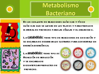 Es un conjunto de reacciones químicas y físico químicas que se llevan en los tejidos y para producir material de provecho para las células y el organismo.  La  catabólisis:  tiene tipo de reacciones de oxidación y se encarga de degradar los sustratos para convertirlo en energía exergónica.  La  anabólisis:  tiene tipo de  Reacción de reducción  y se encarga de  biosintetizar productos de provecho .  