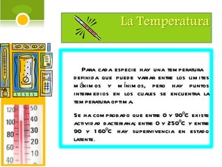 Para cada especie hay una temperatura  definida que puede variar entre los limites máximos y mínimos, pero hay puntos intermedios en los cuales se encuentra la temperatura optima.  Se ha comprobado que entre 0 y 90ºC existe actividad bacteriana; entre 0 y 250ºC y entre 90 y 160ºC hay supervivencia en estado latente .  