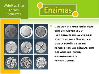 Las actividades químicas son un factor muy importante en la vida de todo tipo de células, ya que a través de estas  reacciones las células son capaces de  vivir, desarrollarse y reproducirse . - Wdelkys Elías Torres 100026751 