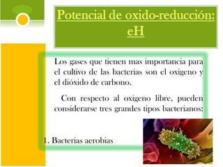 Los gases que tienen mas importancia para el cultivo de las bacterias son el oxigeno y el dióxido de carbono. Con respecto al oxigeno libre, pueden considerarse tres grandes tipos bacterianos:  1. Bacterias aerobias  