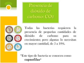 Todas las bacterias requieren la presencia de pequeñas cantidades de dióxido de carbono para su crecimiento; pero algunas lo necesitan en mayor cantidad, de 5 a 10%.  “ Este tipo de bacteria se conocen como  capnofilas ” 