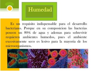 Es un requisito indispensable para el desarrollo bacteriano. Porque en su composicion las bacterias poseen un 80% de agua y ademas para sobrevivir requieren ambientes humedos, pues el ambiente excesivamente seco es lesivo para la mayoria de los microorganismos.  