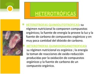 HETEROTROFAS QUIMIOLITOTROFICAS : su régimen nutricional lo componen compuestos orgánicos; la fuente de energía la provee la luz y la fuente de carbono de compuestos orgánicos y en muy poca cantidad del dióxido de carbono. HETEROTROFAS QUIMIOORGANOTROFICAS : su régimen nutricional es orgánico ; la energía la toman de reacciones de oxido-reducción producidas por la oxidación de compuestos orgánicos y la fuente de carbono de un compuesto orgánico. 