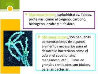 Macronutrientes :  carbohidratos, lípidos, proteínas; como el oxigeno, carbono, hidrogeno, azufre y el fosforo. Micronutrientes :  son pequeñas concentraciones de algunos elementos necesarios para el desarrollo bacteriano como el cobre, el cobalto, zinc, manganeso, etc…  Estos en grandes cantidades son tóxicos para las bacterias. 