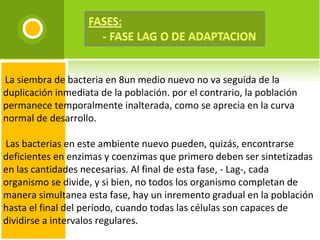   La siembra de bacteria en 8un medio nuevo no va seguida de la duplicación inmediata de la población. por el contrario, la población permanece temporalmente inalterada, como se aprecia en la curva normal de desarrollo.      Las bacterias en este ambiente nuevo pueden, quizás, encontrarse deficientes en enzimas y coenzimas que primero deben ser sintetizadas en las cantidades necesarias. Al final de esta fase, - Lag-, cada organismo se divide, y si bien, no todos los organismo completan de manera simultanea esta fase, hay un inremento gradual en la población hasta el final del periodo, cuando todas las células son capaces de dividirse a intervalos regulares. 