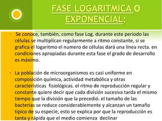   Se conoce, también, como fase Log. durante este periodo las células se multiplican regularmente a ritmo constante, si se grafica el logaritmo el numero de células dará una línea recta. en condiciones apropiadas durante esta fase el grado de desarrollo es máximo.  La población de microorganismos es casi uniforme en composición química, actividad metabólica y otras características  fisiológicas. el ritmo de reproducción regular y constante quiere decir que cada división sucesiva tarda el mismo tiempo que la división que la precedió. el tamaño de las bacterias se reduce considerablemente y alcanzan un tamaño típico de su especie, esto se explica por que la reproducción es tanta y rápida que el medio comienza  declinar nutricionalmente. 