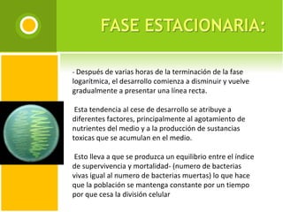 -  Después de varias horas de la terminación de la fase logarítmica, el desarrollo comienza a disminuir y vuelve gradualmente a presentar una línea recta.     Esta tendencia al cese de desarrollo se atribuye a diferentes factores, principalmente al agotamiento de nutrientes del medio y a la producción de sustancias toxicas que se acumulan en el medio.     Esto lleva a que se produzca un equilibrio entre el índice de supervivencia y mortalidad- (numero de bacterias vivas igual al numero de bacterias muertas) lo que hace que la población se mantenga constante por un tiempo por que cesa la división celular 