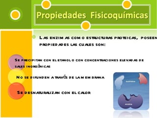 Las enzimas como estructuras proteicas,  poseen propiedades las cuales son: Se desnaturalizan con el calor Se precipitan con el etanol o con concentraciones elevadas de sales inorgánicas No se difunden a través de la membrana  