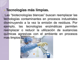 

Tecnologías más limpias.

Las “biotecnologías blancas” buscan reemplazar las
tecnologías contaminantes en procesos industriales
disminuyendo a la vez la emisión de residuos. Por
ejemplo, las tecnologías enzimáticas permiten
reemplazar o reducir la utilización de sustancias
químicas agresivas con el ambiente en procesos
mas limpios y seguros.

 