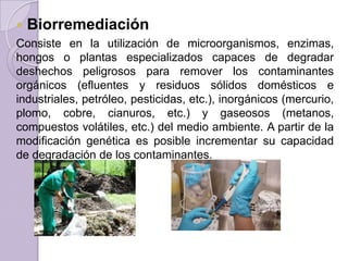 

Biorremediación

Consiste en la utilización de microorganismos, enzimas,
hongos o plantas especializados capaces de degradar
deshechos peligrosos para remover los contaminantes
orgánicos (efluentes y residuos sólidos domésticos e
industriales, petróleo, pesticidas, etc.), inorgánicos (mercurio,
plomo, cobre, cianuros, etc.) y gaseosos (metanos,
compuestos volátiles, etc.) del medio ambiente. A partir de la
modificación genética es posible incrementar su capacidad
de degradación de los contaminantes.

 