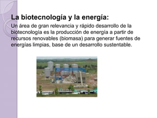 La biotecnología y la energía:
Un área de gran relevancia y rápido desarrollo de la
biotecnología es la producción de energía a partir de
recursos renovables (biomasa) para generar fuentes de
energías limpias, base de un desarrollo sustentable.

 