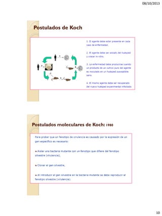 08/10/2013
10
Postulados de Koch
Postulados moleculares de Koch: 1980
 