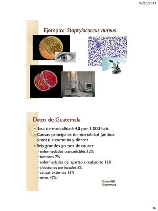08/10/2013
16
Ejemplo: Staphylococcus aureus
Datos de Guatemala
 Tasa de mortalidad: 4,8 por 1.000 hab.
 Causas principales de mortalidad (ambos
sexos): neumonía y diarrea.
 Seis grandes grupos de causas:
• enfermedades transmisibles 13%
• tumores 7%
• enfermedades del aparato circulatorio 12%
• afecciones perinatales 8%
• causas externas 13%
• otras 47%.
Datos INE
Guatemala
 