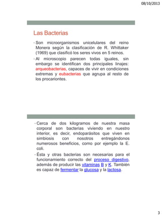 08/10/2013
3
Las Bacterias
• Son microorganismos unicelulares del reino
Monera según la clasificación de R. Whittaker
(1969) que clasificó los seres vivos en 5 reinos.
• Al microscopio parecen todas iguales, sin
embargo se identifican dos principales linajes:
arqueobacterias, capaces de vivir en condiciones
extremas y eubacterias que agrupa al resto de
los procariontes.
• Cerca de dos kilogramos de nuestra masa
corporal son bacterias viviendo en nuestro
interior, es decir, endoparásitos que viven en
simbiosis con nosotros entregándonos
numerosos beneficios, como por ejemplo la E.
coli.
• Ésta y otras bacterias son necesarias para el
funcionamiento correcto del proceso digestivo,
además de producir las vitaminas B y K. También
es capaz de fermentar la glucosa y la lactosa.
 