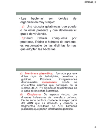 08/10/2013
4
• Las bacterias son células de
organización muy simple:
a) Una cápsula gelatinosas que puede
o no estar presente y que determina el
grado de virulencia.
b)Pared Celular compuesta por
proteínas, lípidos e hidratos de carbono,
es responsable de las distintas formas
que adoptan las bacterias
c) Membrana plasmática: formada por una
doble capa de fosfolípidos, proteínas y
glúcidos. Presenta invaginaciones
denominadas mesosomas, donde se
encuentran enzimas que participan en la
síntesis de ATP y pigmentos fotosintéticos en
el caso de bacterias autótrofas.
d) Citoplasma: De aspecto viscoso con
diversas inclusiones de naturaleza química.
En su zona céntrica contiene la mayor parte
del ADN que es desnudo y cerrado, y
fragmentos circulares de ADN llamados
plásmidos que portan información genética.
 
