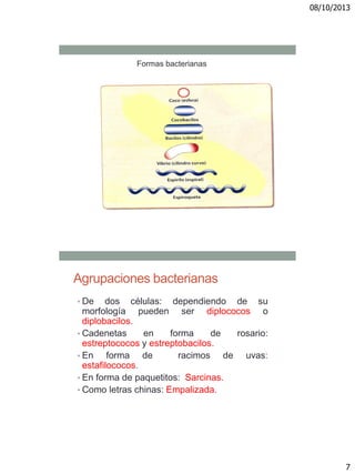 08/10/2013
7
Formas bacterianas
Agrupaciones bacterianas
• De dos células: dependiendo de su
morfología pueden ser diplococos o
diplobacilos.
• Cadenetas en forma de rosario:
estreptococos y estreptobacilos.
• En forma de racimos de uvas:
estafilococos.
• En forma de paquetitos: Sarcinas.
• Como letras chinas: Empalizada.
 