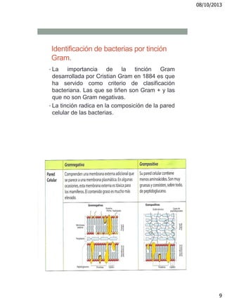 08/10/2013
9
Identificación de bacterias por tinción
Gram.
• La importancia de la tinción Gram
desarrollada por Cristian Gram en 1884 es que
ha servido como criterio de clasificación
bacteriana. Las que se tiñen son Gram + y las
que no son Gram negativas.
• La tinción radica en la composición de la pared
celular de las bacterias.
 