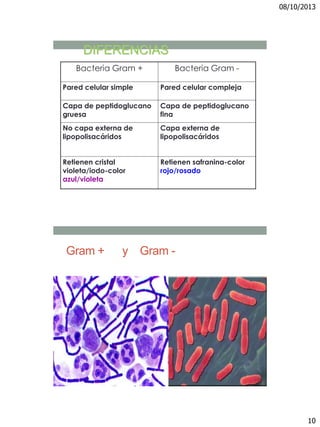 08/10/2013
10
Bacteria Gram + Bacteria Gram -
Pared celular simple Pared celular compleja
Capa de peptidoglucano
gruesa
Capa de peptidoglucano
fina
No capa externa de
lipopolisacáridos
Capa externa de
lipopolisacáridos
Retienen cristal
violeta/iodo-color
azul/violeta
Retienen safranina-color
rojo/rosado
DIFERENCIAS
Gram + y Gram -
 