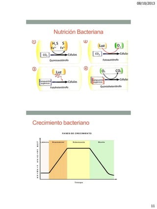 08/10/2013
11
Nutrición Bacteriana
Crecimiento bacteriano
 