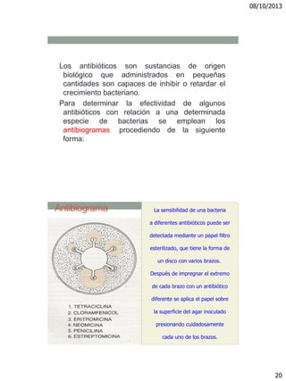 08/10/2013
20
Los antibióticos son sustancias de origen
biológico que administrados en pequeñas
cantidades son capaces de inhibir o retardar el
crecimiento bacteriano.
Para determinar la efectividad de algunos
antibióticos con relación a una determinada
especie de bacterias se emplean los
antibiogramas, procediendo de la siguiente
forma:
Antibiograma La sensibilidad de una bacteria
a diferentes antibióticos puede ser
detectada mediante un papel filtro
esterilizado, que tiene la forma de
un disco con varios brazos.
Después de impregnar el extremo
de cada brazo con un antibiótico
diferente se aplica el papel sobre
la superficie del agar inoculado
presionando cuidadosamente
cada uno de los brazos.
 