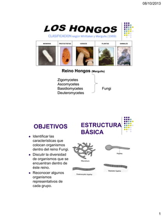 08/10/2013
1
ANIMALESPLANTASHONGOSPROTOCTISTASMONERAS
Reino Hongos (Margulis)
Zigomycetes
Ascomycetes
Basidiomycetes Fungi
Deuteromycetes
CLASIFICACION según Whittaker y Margulis (1969)
OBJETIVOS
 Identificar las
características que
colocan organismos
dentro del reino Fungi.
 Discutir la diversidad
de organismos que se
encuentran dentro de
éste reino.
 Reconocer algunos
organismos
representativos de
cada grupo.
ESTRUCTURA
BÁSICA
 
