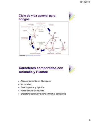 08/10/2013
8
Ciclo de vida general para
hongos:
Modificado de cas.bellarmine.edu/. ../Bio%20Pix.htm
Caracteres compartidos con
Animalia y Plantae
 Almacenamiento en Glycogeno
 No moviles
 Fase haploide y diploide
 Pared celular de Quitina
 Ergosterol (exclusivo pero similar al colesterol)
 