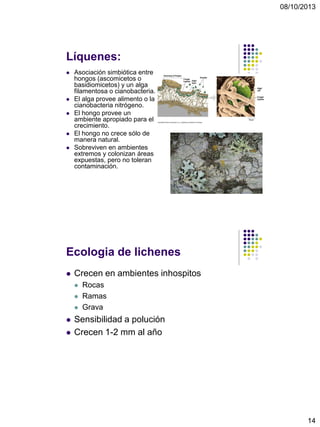 08/10/2013
14
Líquenes:
 Asociación simbiótica entre
hongos (ascomicetos o
basidiomicetos) y un alga
filamentosa o cianobacteria.
 El alga provee alimento o la
cianobacteria nitrógeno.
 El hongo provee un
ambiente apropiado para el
crecimiento.
 El hongo no crece sólo de
manera natural.
 Sobreviven en ambientes
extremos y colonizan áreas
expuestas, pero no toleran
contaminación.
Ecologia de lichenes
 Crecen en ambientes inhospitos
 Rocas
 Ramas
 Grava
 Sensibilidad a polución
 Crecen 1-2 mm al año
 