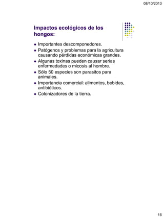 08/10/2013
16
Impactos ecológicos de los
hongos:
 Importantes descomponedores.
 Patógenos y problemas para la agricultura
causando pérdidas económicas grandes.
 Algunas toxinas pueden causar serias
enfermedades o micosis al hombre.
 Sólo 50 especies son parasitos para
animales.
 Importancia comercial: alimentos, bebidas,
antibióticos.
 Colonizadores de la tierra.
 