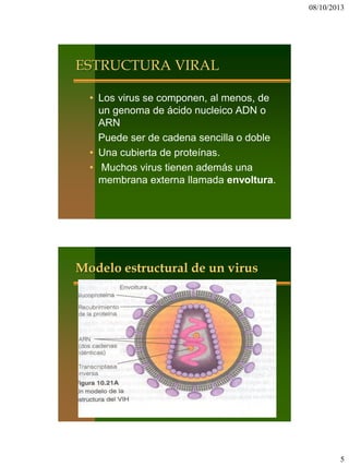 08/10/2013
5
ESTRUCTURA VIRAL
• Los virus se componen, al menos, de
un genoma de ácido nucleico ADN o
ARN
Puede ser de cadena sencilla o doble
• Una cubierta de proteínas.
• Muchos virus tienen además una
membrana externa llamada envoltura.
Modelo estructural de un virus
 