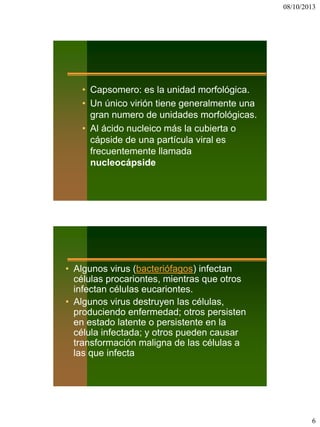 08/10/2013
6
• Capsomero: es la unidad morfológica.
• Un único virión tiene generalmente una
gran numero de unidades morfológicas.
• Al ácido nucleico más la cubierta o
cápside de una partícula viral es
frecuentemente llamada
nucleocápside
• Algunos virus (bacteriófagos) infectan
células procariontes, mientras que otros
infectan células eucariontes.
• Algunos virus destruyen las células,
produciendo enfermedad; otros persisten
en estado latente o persistente en la
célula infectada; y otros pueden causar
transformación maligna de las células a
las que infecta
 