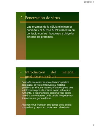 08/10/2013
9
2- Penetración de virus
Las enzimas de la célula eliminan la
cubierta y el ARN o ADN viral entra en
contacto con los ribosomas y dirige la
síntesis de proteínas.
3- Introducción del material
genético en la célula
Después de alcanzar una célula hospedera
apropiada, el virus introduce su material
genético en ella, ya sea engañándola para que
lo introduzca por ella misma como si fuera un
nutriente, o fusionando la cubierta viral con la
pared o la membrana de la célula hospedera y
liberando sus genes dentro.
Algunos virus inyectan sus genes en la célula
hospedera y dejan su cubierta en el exterior.
 