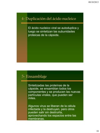 08/10/2013
10
4- Duplicación del ácido nucleico
El ácido nucleico viral se autoduplica y
luego se sintetizan las subunidades
proteicas de la cápside.
5- Ensamblaje
Sintetizadas las proteínas de la
cápside, se ensamblan todos los
componentes y se producen las nuevas
partículas virales, que pueden ser
miles.
Algunos virus se liberan de la célula
infectada y la destruyen, pero otros
pueden salir sin destruirla,
aprovechando los espacios entre las
membranas.
 