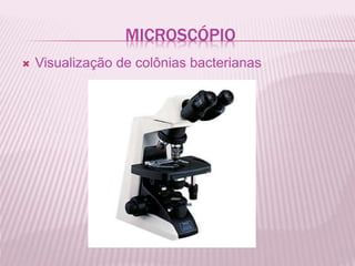 MICROSCÓPIO
Visualização de colônias bacterianas