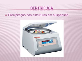 CENTRÍFUGA
Precipitação das estruturas em suspensão