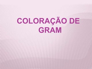COLORAÇÃO DE
GRAM