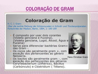 COLORAÇÃO DE GRAM