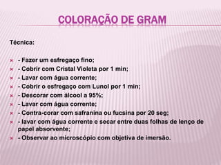 COLORAÇÃO DE GRAM
Técnica:
- Fazer um esfregaço fino;
- Cobrir com Cristal Violeta por 1 min;
- Lavar com água corrente;
- Cobrir o esfregaço com Lunol por 1 min;
- Descorar com álcool a 95%;
- Lavar com água corrente;
- Contra-corar com safranina ou fucsina por 20 seg;
- lavar com água corrente e secar entre duas folhas de lenço de
papel absorvente;
- Observar ao microscópio com objetiva de imersão.