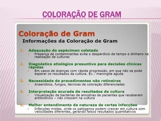 COLORAÇÃO DE GRAM