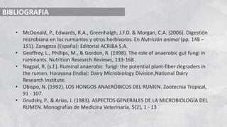 BIBLIOGRAFIA
• McDonald, P., Edwards, R.A., Greenhalgh, J.F.D. & Morgan, C.A. (2006). Digestión
microbiana en los rumiantes y otros herbívoros. En Nutrición animal (pp. 148 –
151). Zaragoza (España): Editorial ACRIBA S.A.
• Geoffrey, L., Phillips, M., & Gordon, R. (1998). The role of anaerobic gut fungi in
ruminants. Nutrition Research Reviews, 133-168 .
• Nagpal, R. (s.f.). Ruminal anaerobic fungi: the potential plant-fiber degraders in
the rumen. Harayana (India): Dairy Microbiology Division,National Dairy
Research Institute.
• Obispo, N. (1992). LOS HONGOS ANAERÓBICOS DEL RUMEN. Zootecnia Tropical,
91 - 107.
• Grudsky, P., & Arias, J. (1983). ASPECTOS GENERALES DE LA MICROBIOLOGÍA DEL
RUMEN. Monografías de Medicina Veterinaria, 5(2), 1 - 13
 