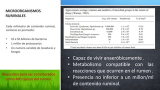Microfauna Rumenala Microbiologia ruminal | PPTX